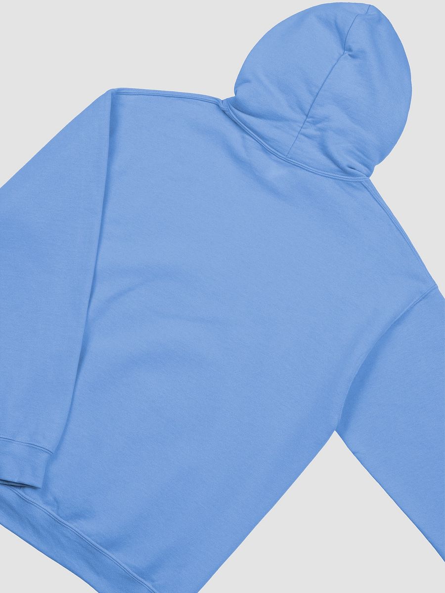 Shoulda Beens Horny Hoodie product image (4)