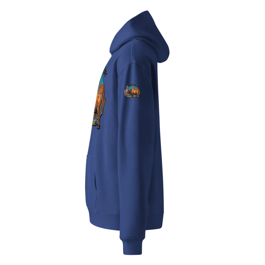 Bold Buffalo New York Oversized Hoodie product image (11)
