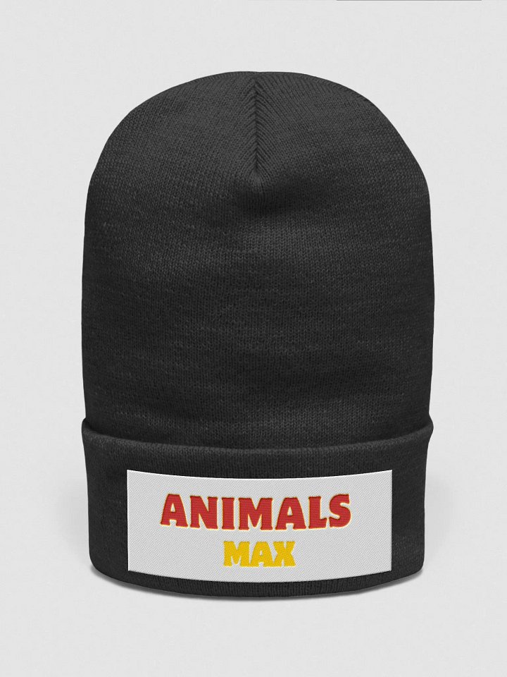 wool hat product image (1)