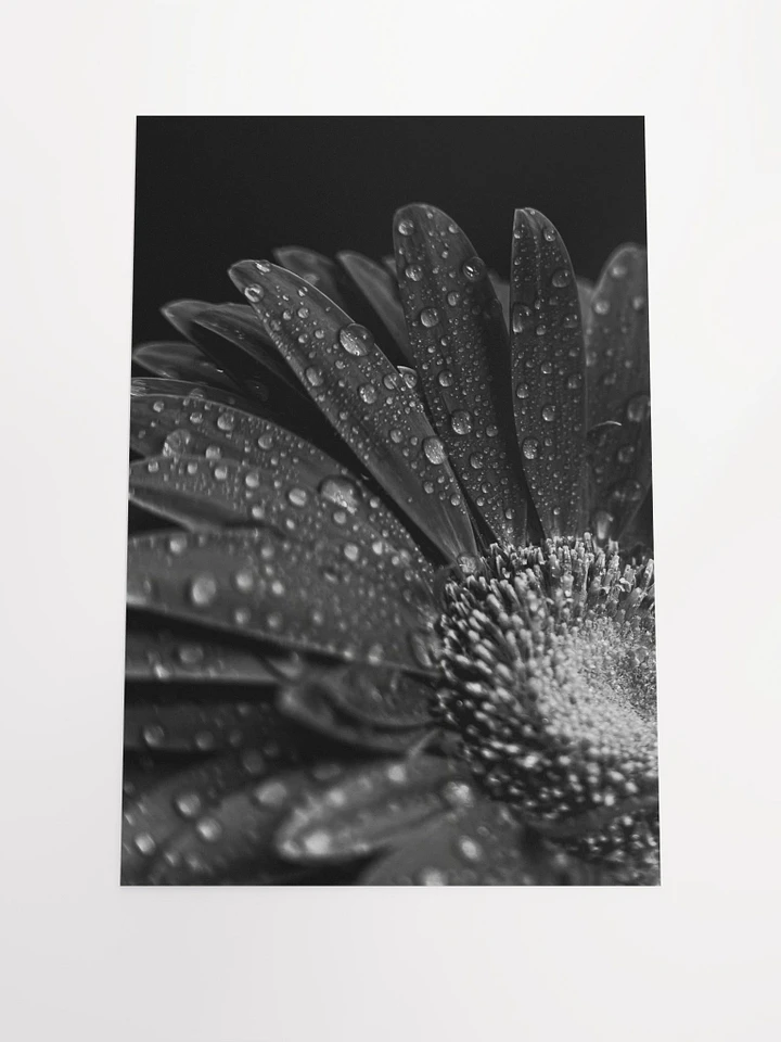 Dark Flower product image (1)