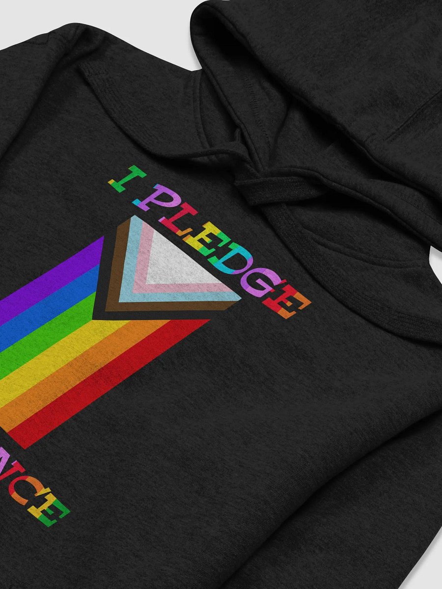 I Pledge Allegiance To Progress Hoodie product image (3)