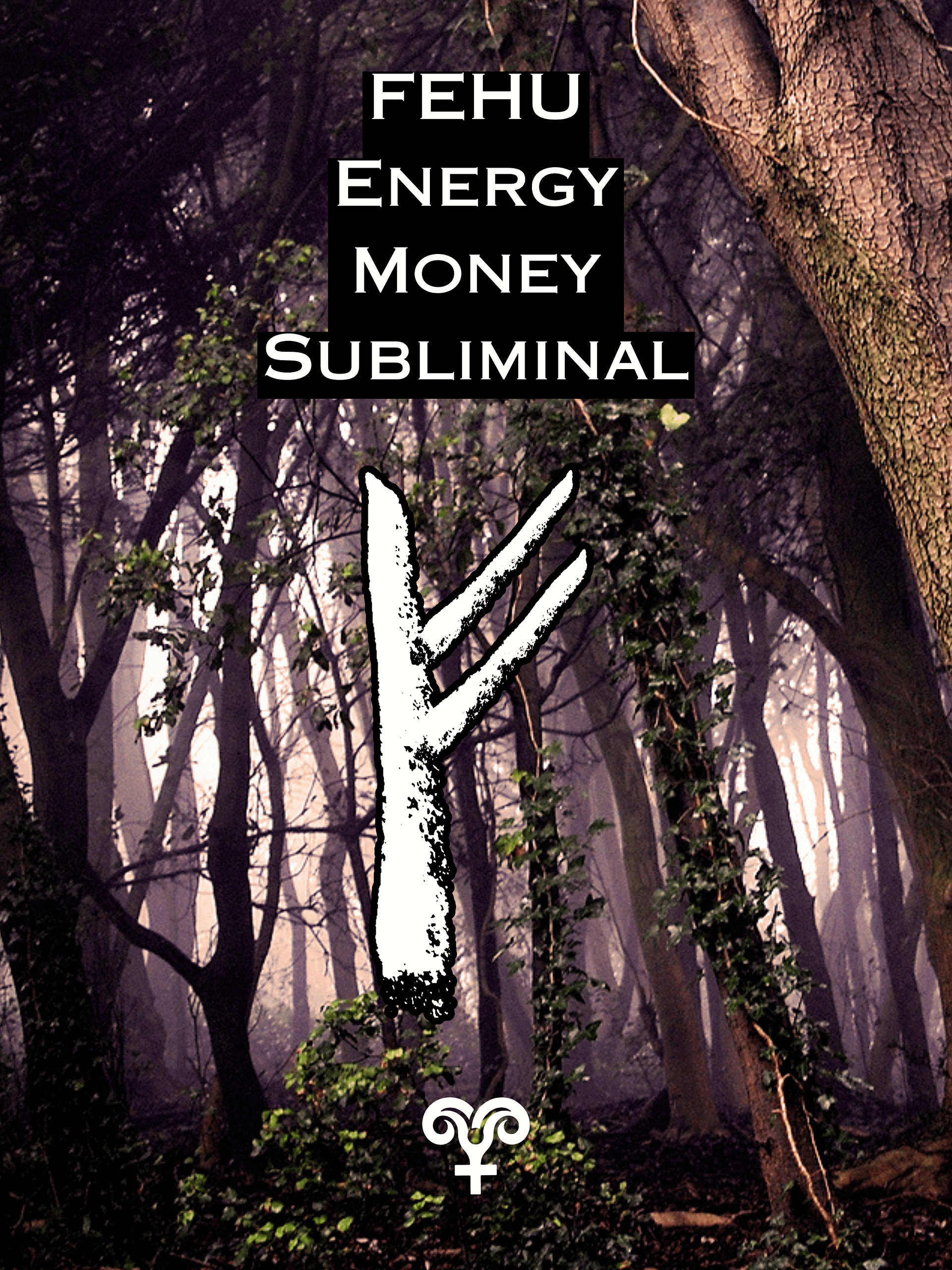 FEHU Rune WEALTH Subliminal, Norse Viking Energy Healing for Wealth & Abundance, Remove Money Blocks! product image (1)