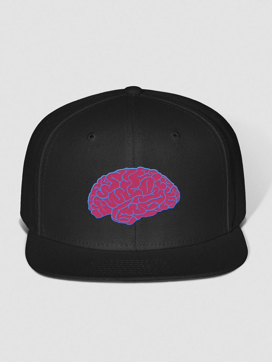 BrainCAP Snapback Hat product image (1)