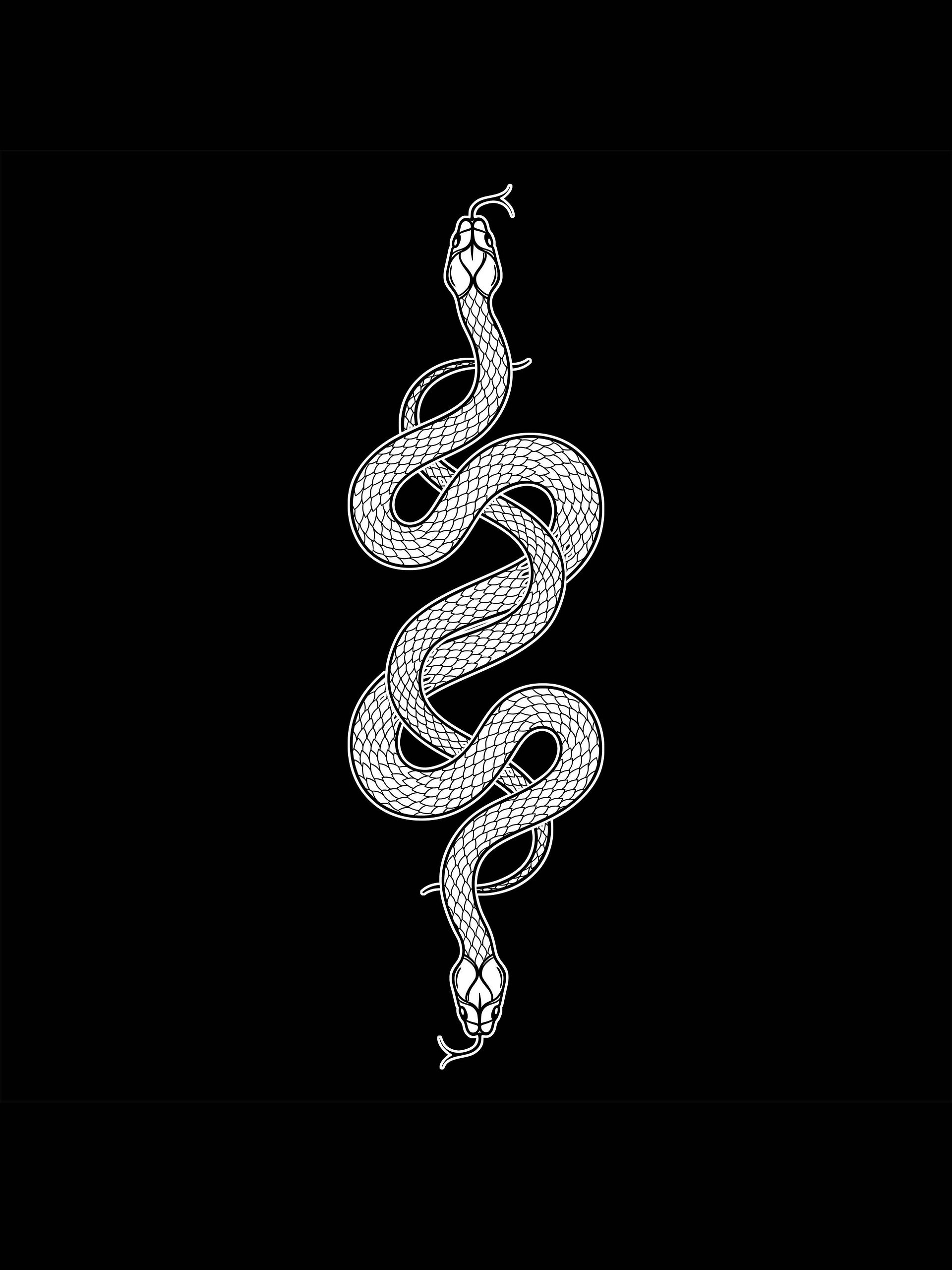 Synergy [14x26] product image (1)