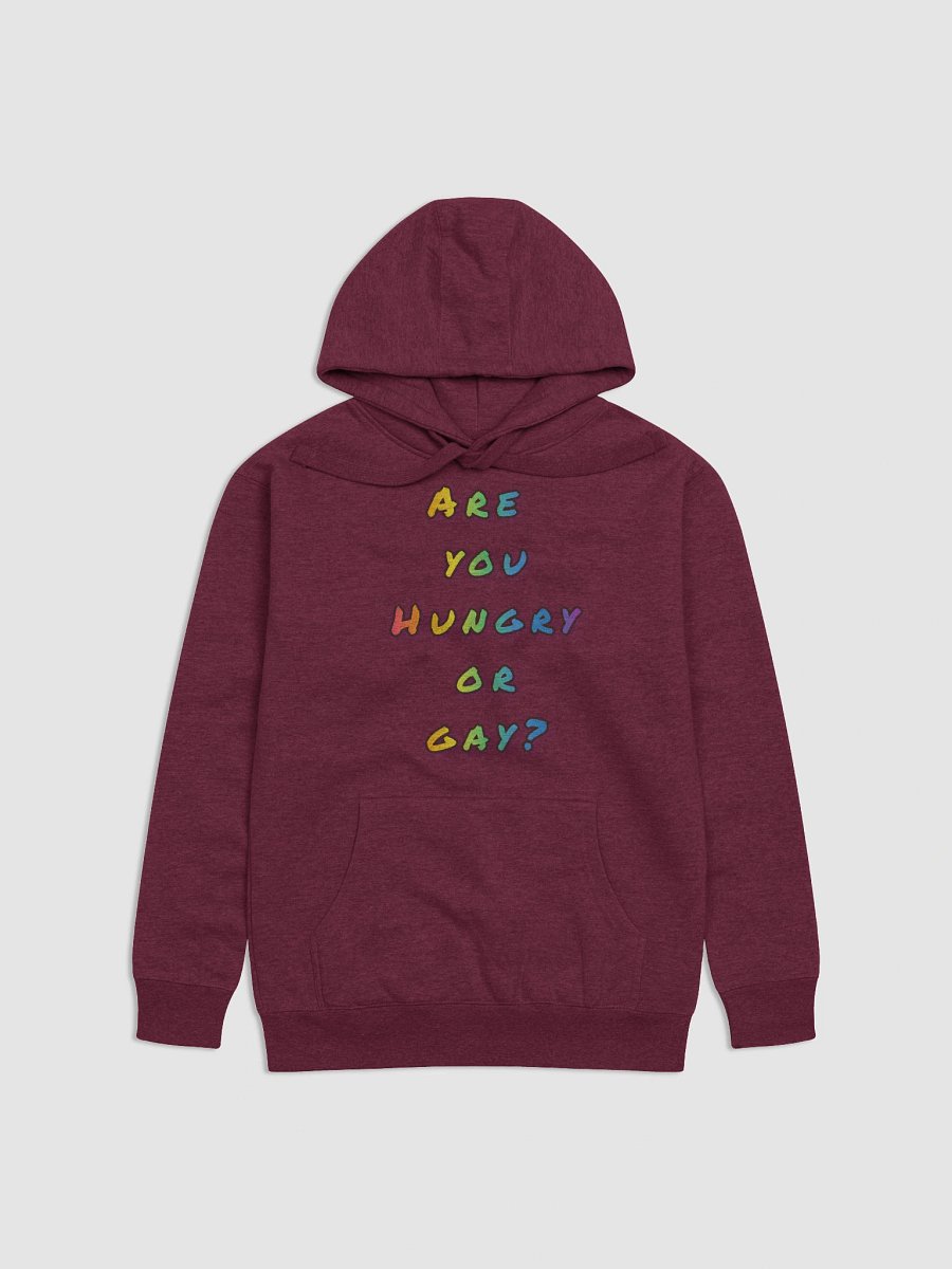 Hungry or gay hoodie product image (2)