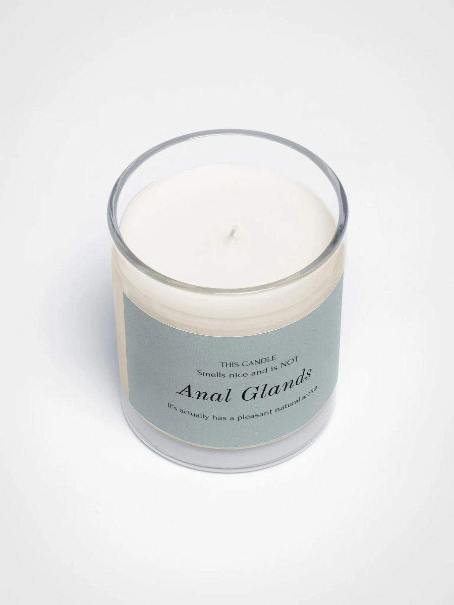 Veterinary humor candle "anal glands" product image (3)