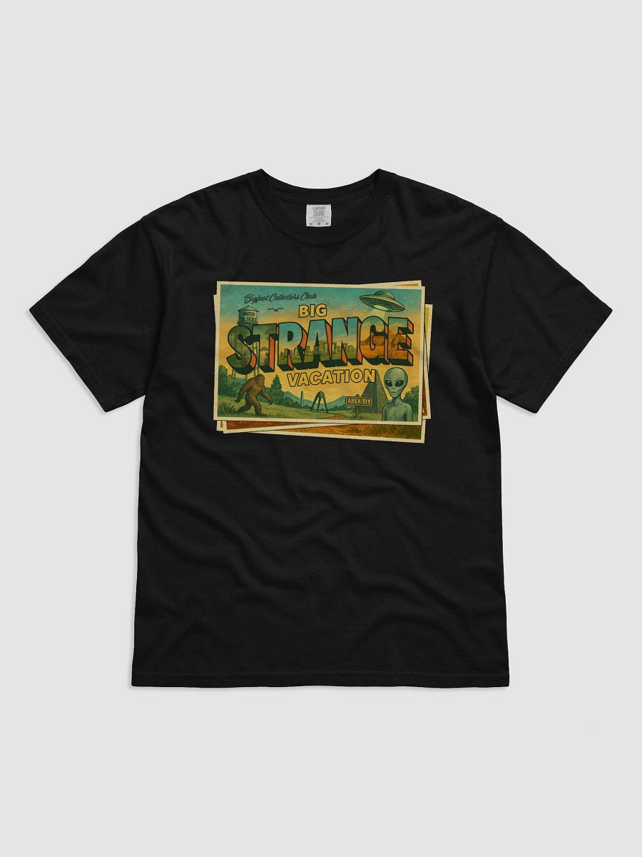 Big Strange Vacation product image (7)