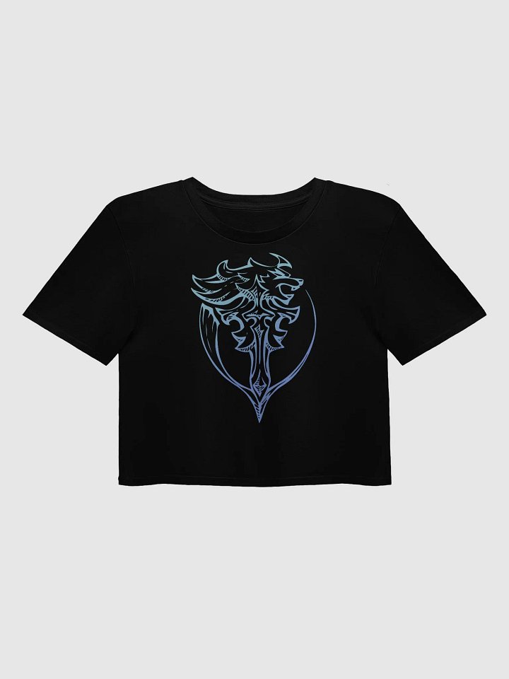 Fantasy Sigil Crop TOP product image (1)
