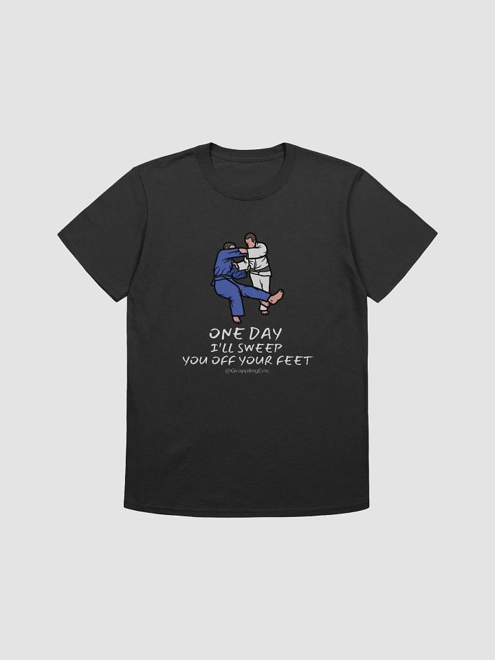 I'll Sweep You - adult - T SHIRT product image (1)