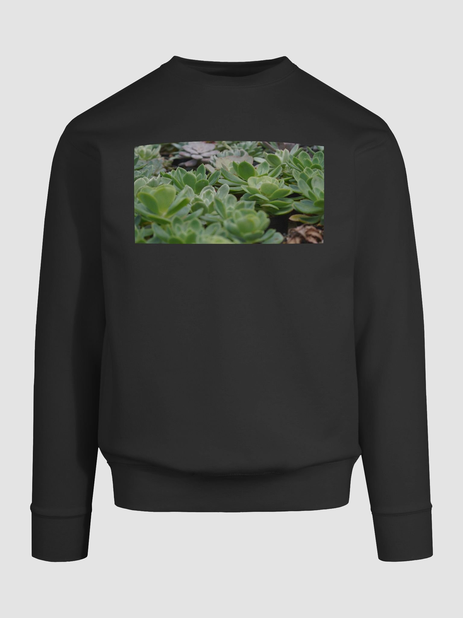 Verdant Oasis Cotton Sweatshirt product image (9)