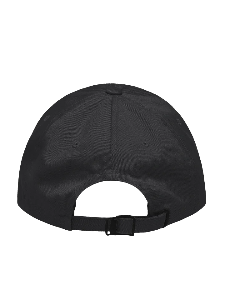 $BURN Baseball Hat - Dark product image (4)