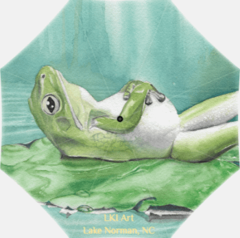 Children’s Umbrella - “Jeremiah” product image (2)