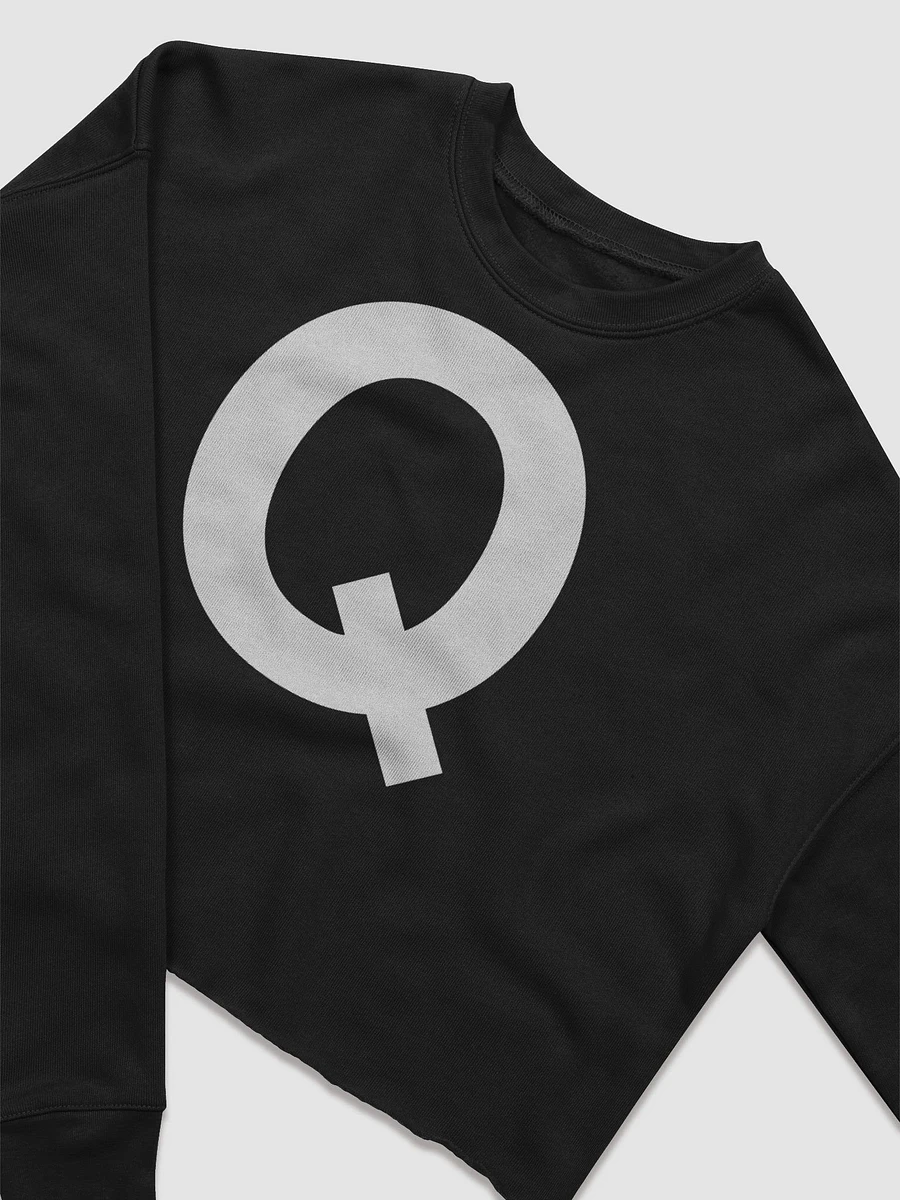 Q FLEECY CROP TOP product image (3)