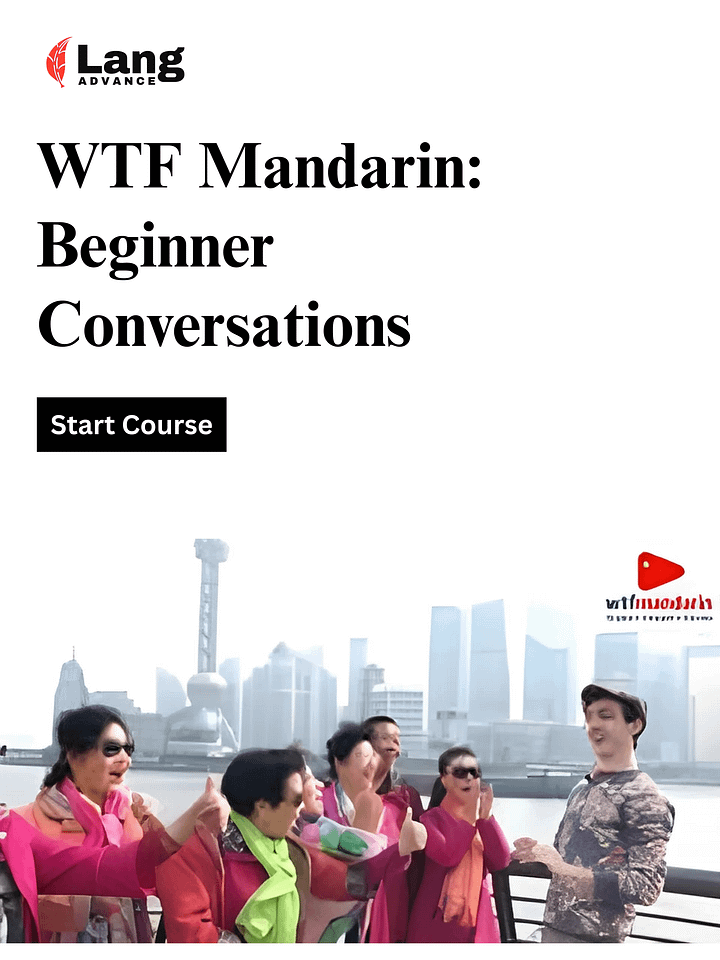 wtf mandarin - Beginner Conversational Chinese product image (1)