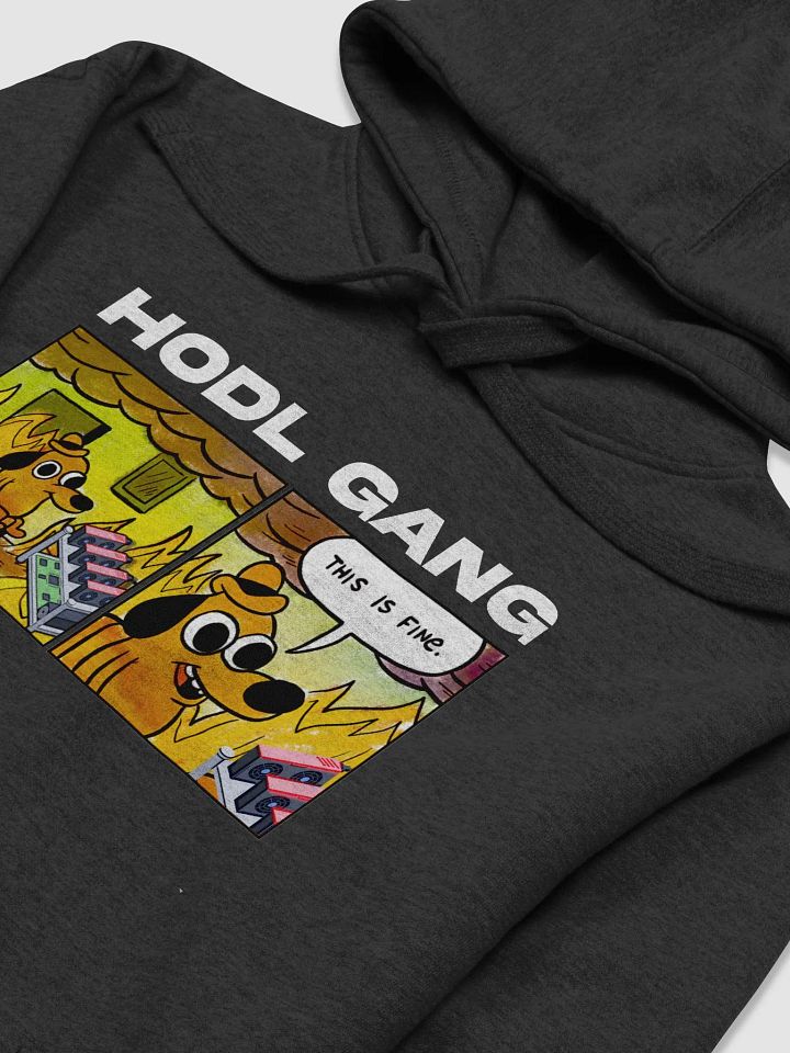HODLGANG GPU RIG HOODIE product image (1)