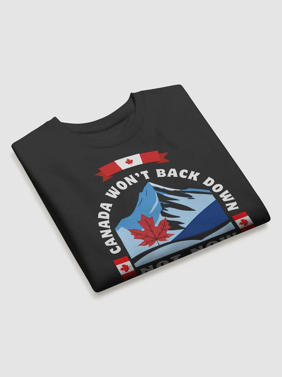 Canadian Rockies Maple Leaf Sweatshirt product image (3)