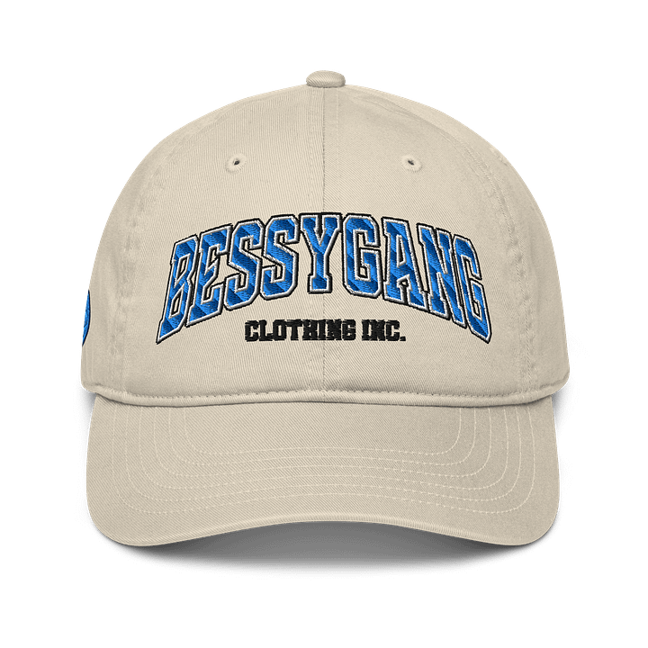 University Hat product image (2)