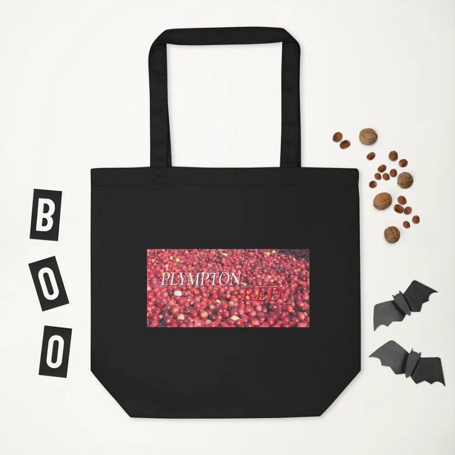 Plympton Red Tote Bag product image (11)