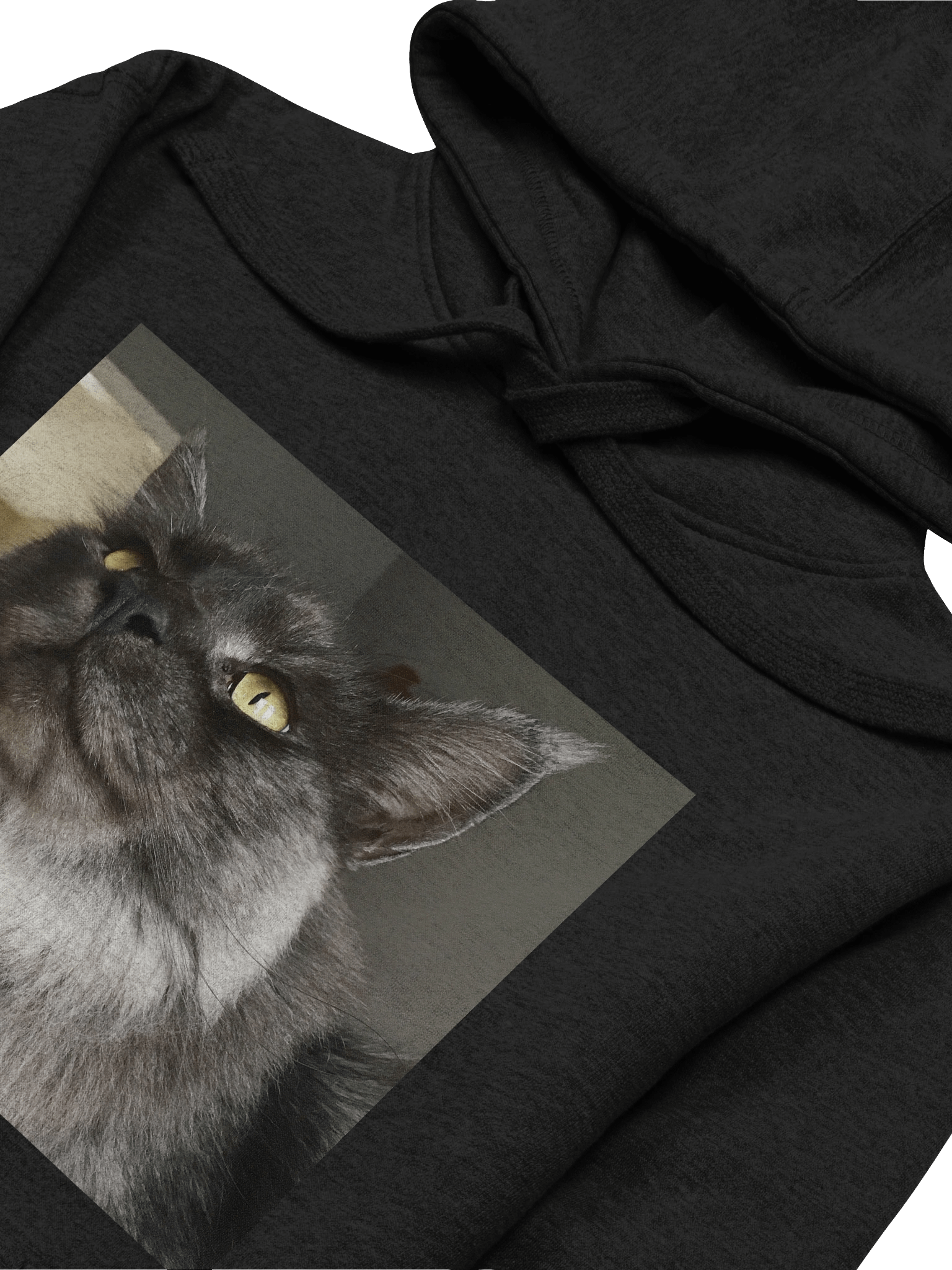 'The Weather Kitty' Mr. Loki product image (32)