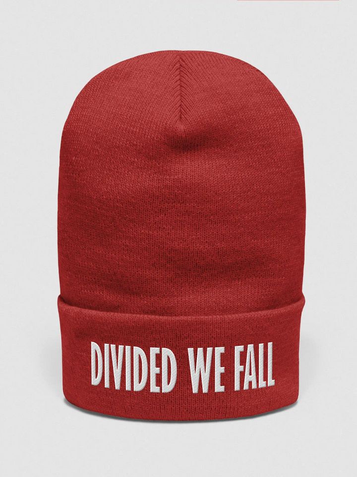 Divided We Fall - White - Yupoong Cuffed Beanie product image (1)