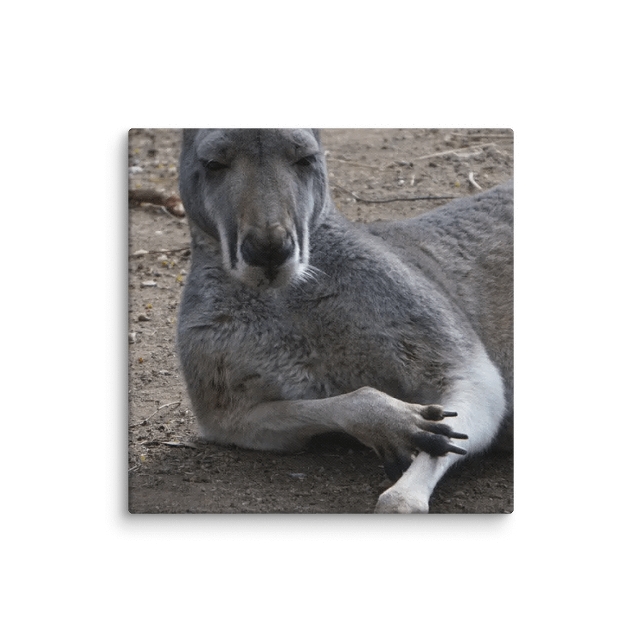 Kangaroo on a Canvas product image (1)