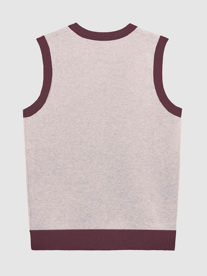 PLEASE DON'T MAKE ME TALK (maroon and pink) knitwear vest product image (8)