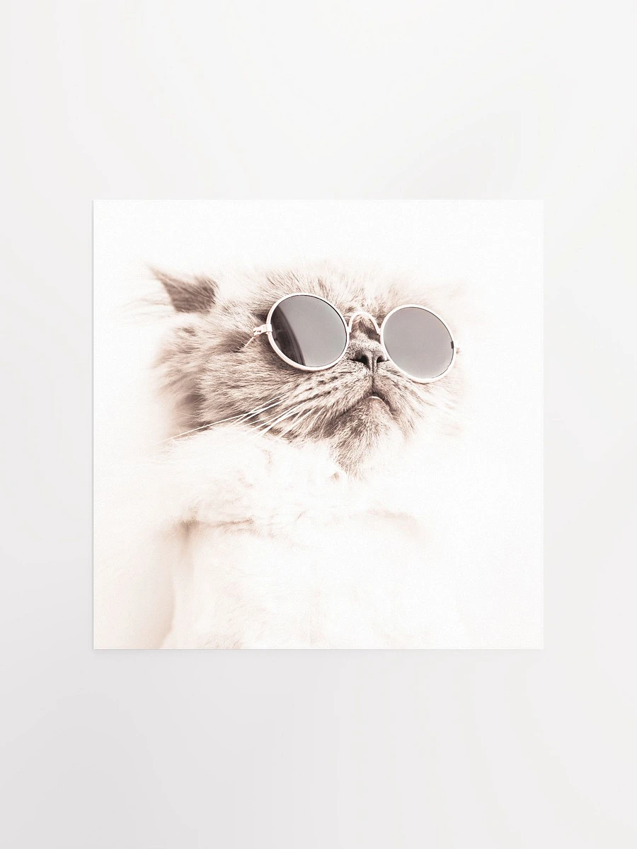 Cool Cat Square Poster product image (3)