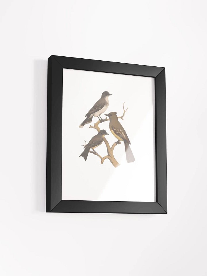 Birds in Winter product image (22)
