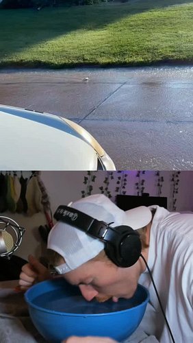 Behind The Creed 🎬🐢