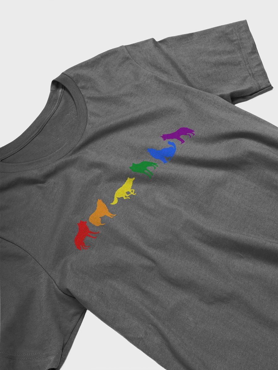 Rainbow Pride Wolves Women's T-Shirt product image (25)