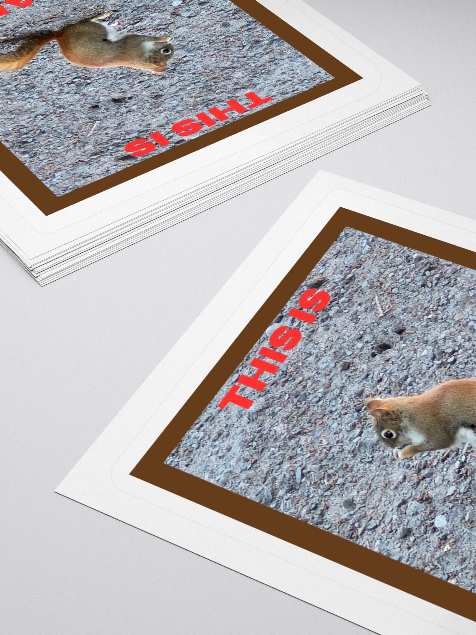 Adorable Red Squirrel Kiss Cut Stickers product image (4)