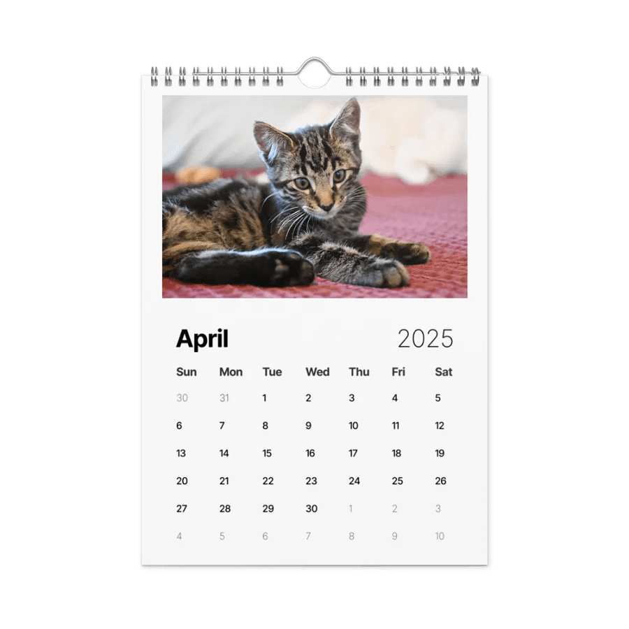 Noah and Friends 2025 Calendar product image (1)