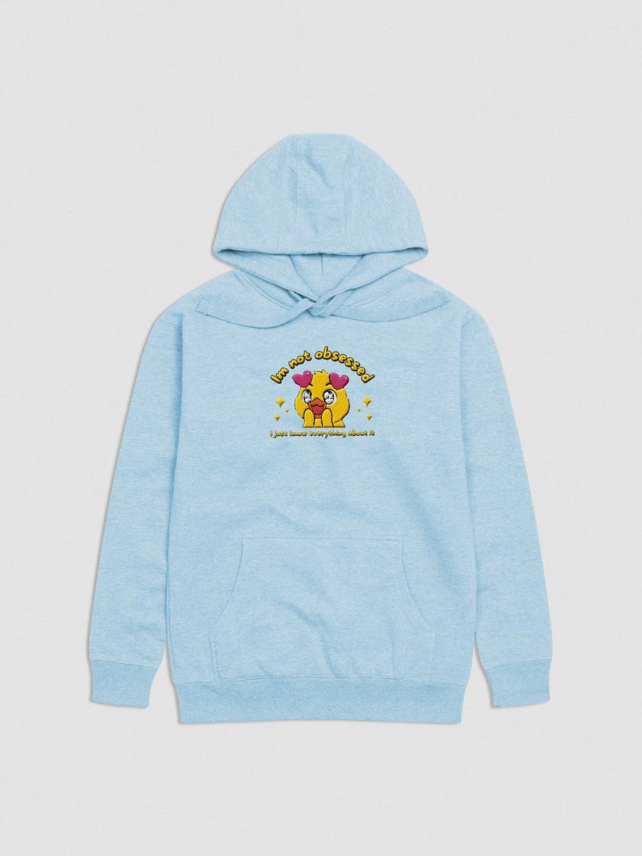 Embroided Obsession Confession Hoodie (Large Logo) product image (24)