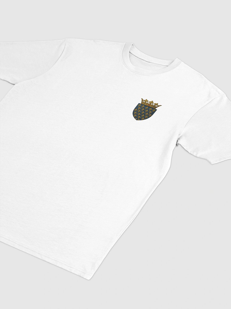 King St Louis IX gear Heavy Tee product image (28)