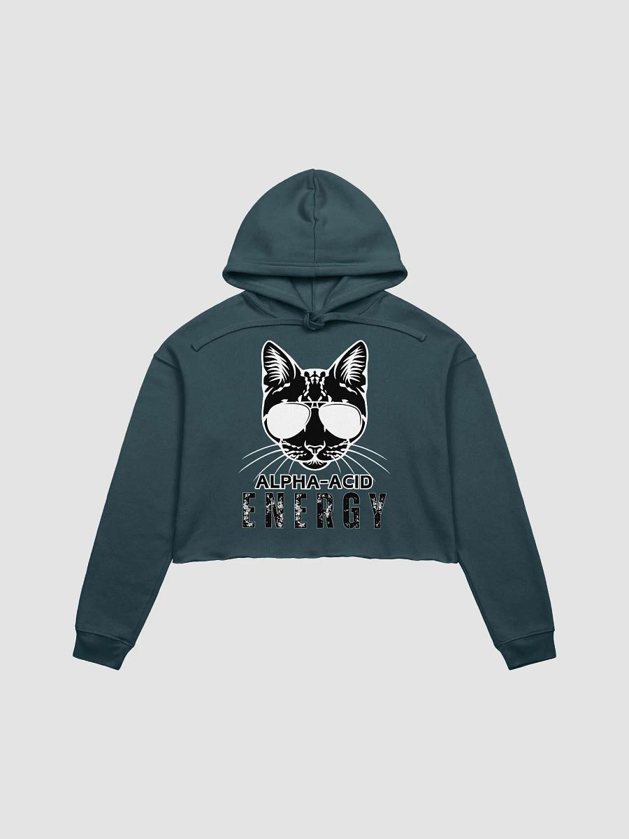 Alpha-Acid Energy Crop Hoodie product image (2)