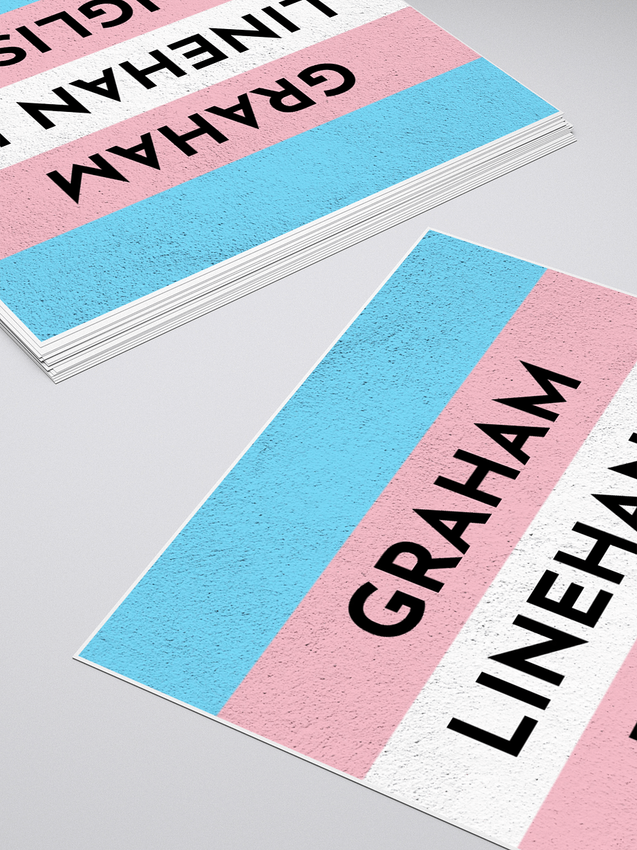 GL is English - TERFS OUTS sticker product image (11)