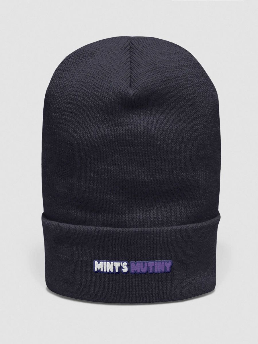 Mint's Mutiny Beanie product image (1)