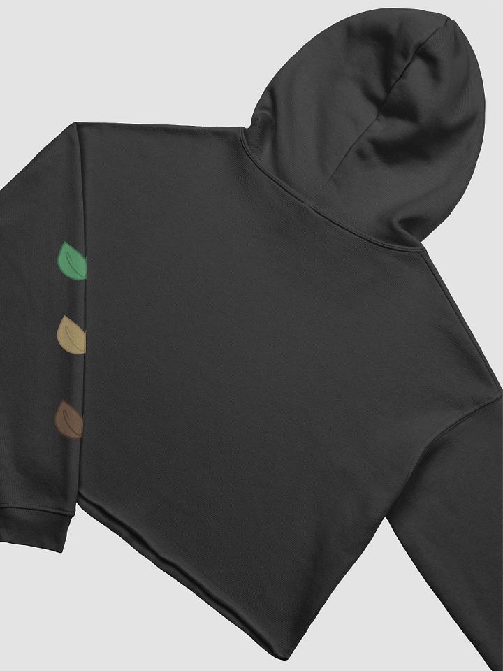 Leaf gradient cropped hoodie product image (2)