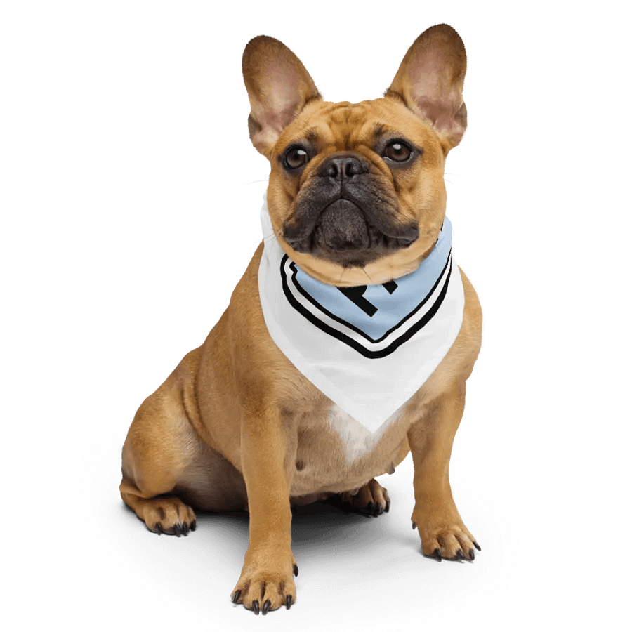 bandana product image (6)