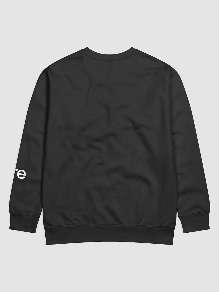 Sweatshirt product image (2)
