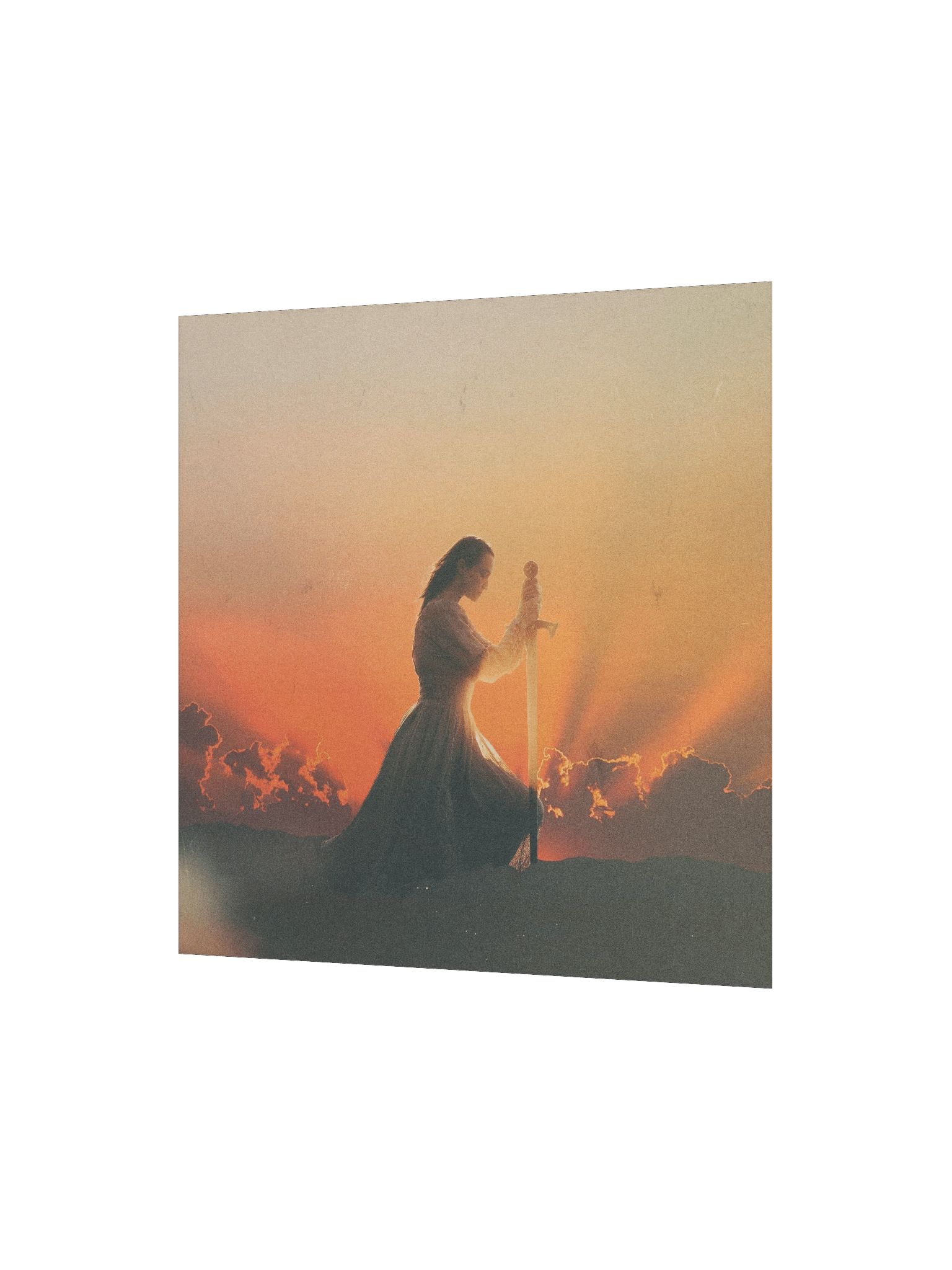 fighter | square print product image (3)