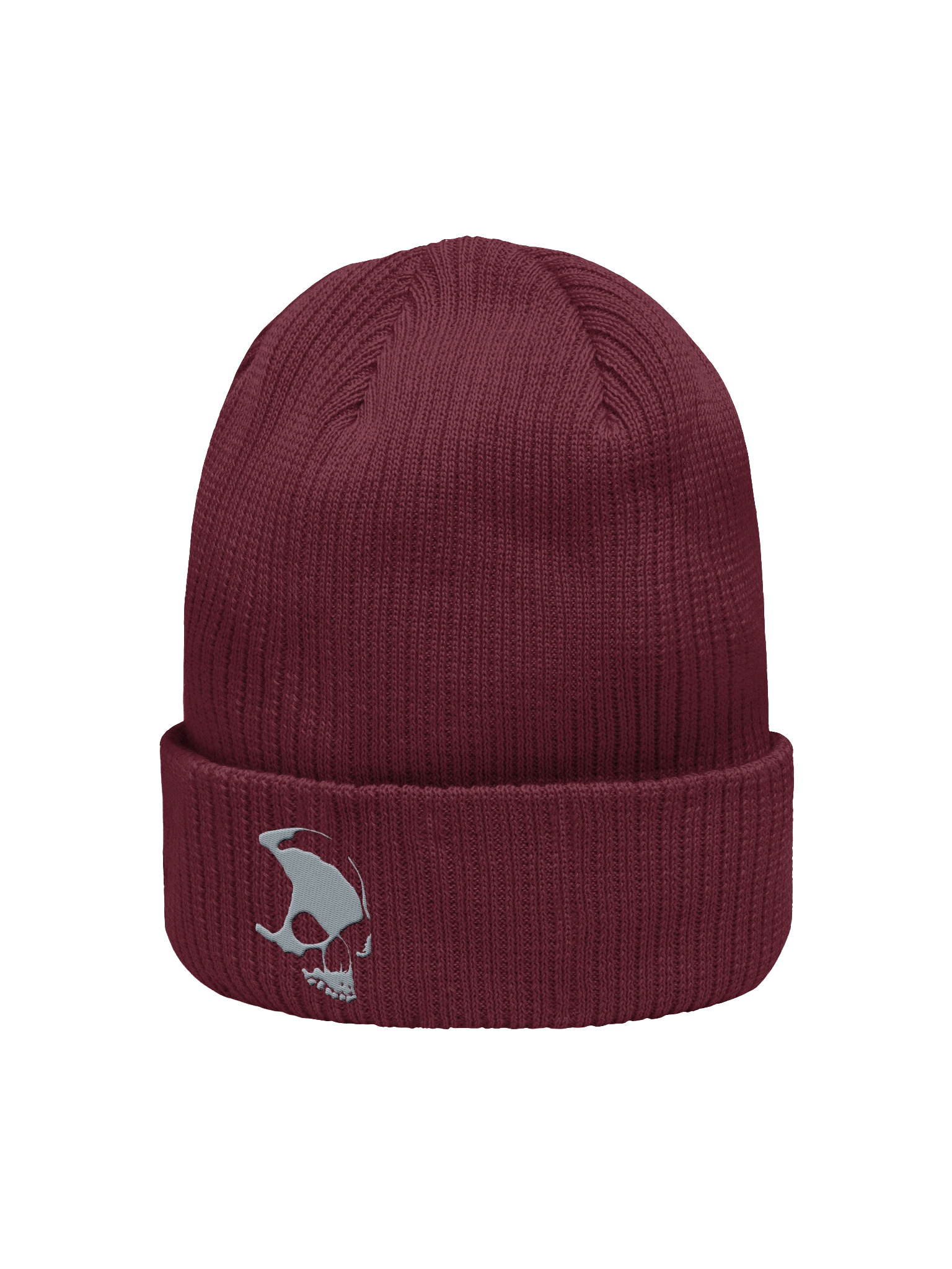 Armada Skull Organic Ribbed Beanie product image (4)