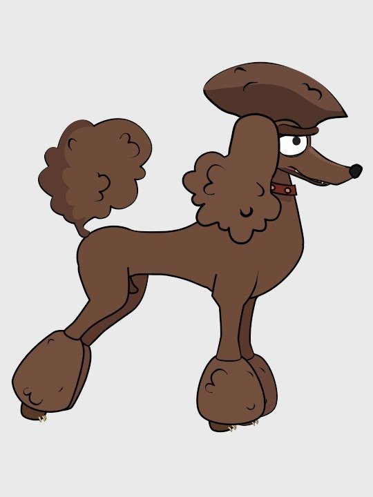 Poodle product image (1)