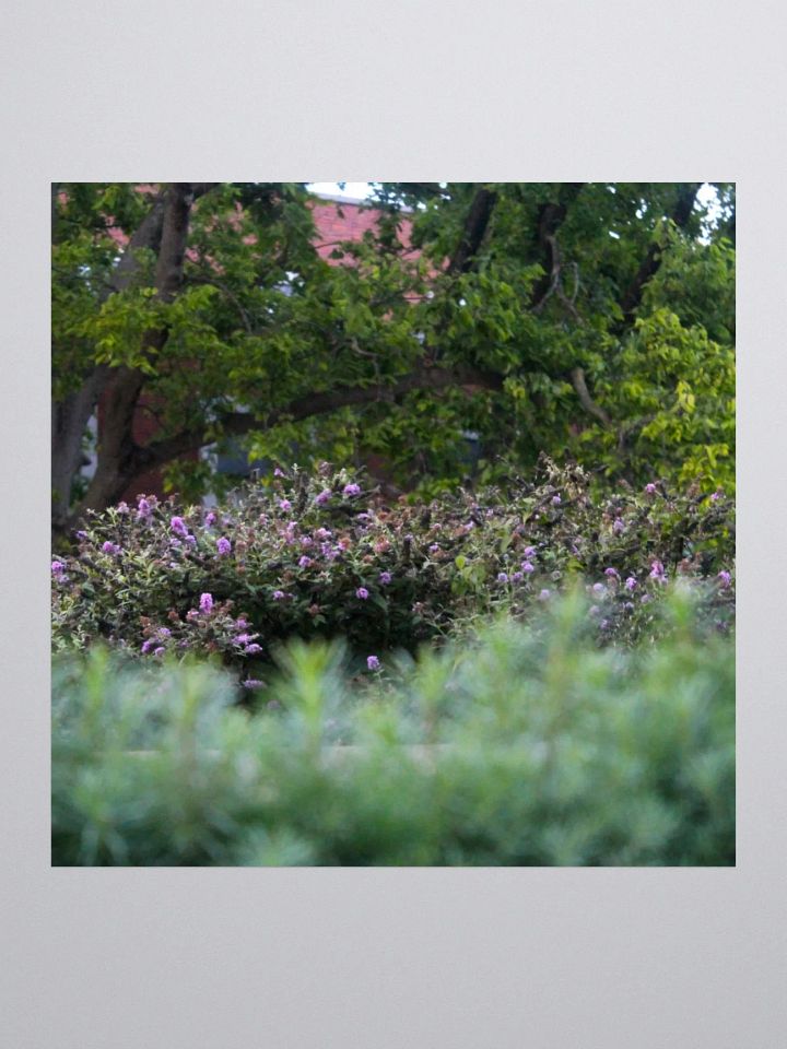 A Study in Flowers 17 - sticker version product image (3)