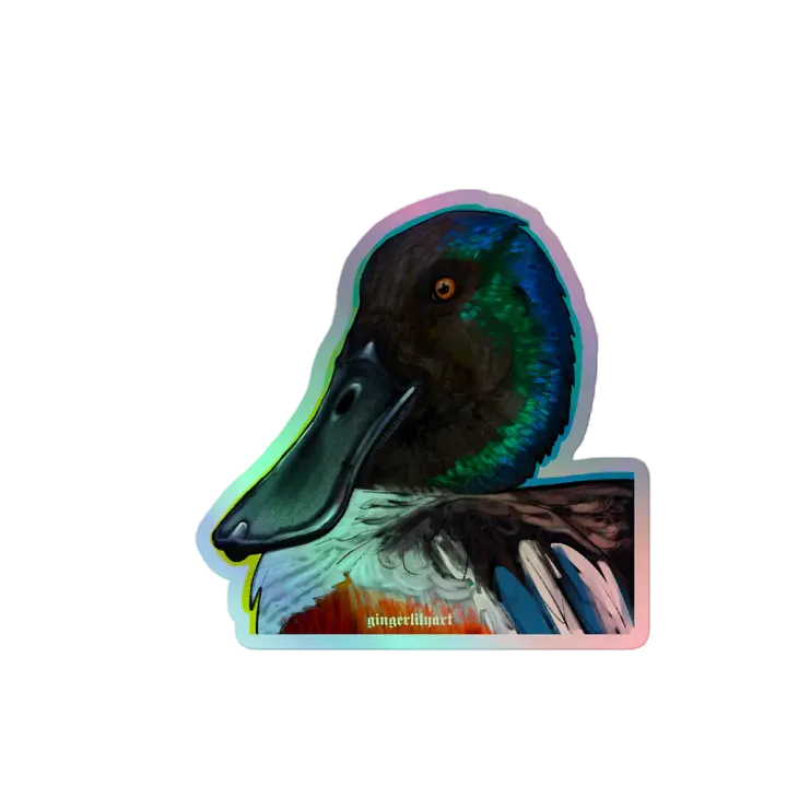 northern shoveler duck sticker product image (2)