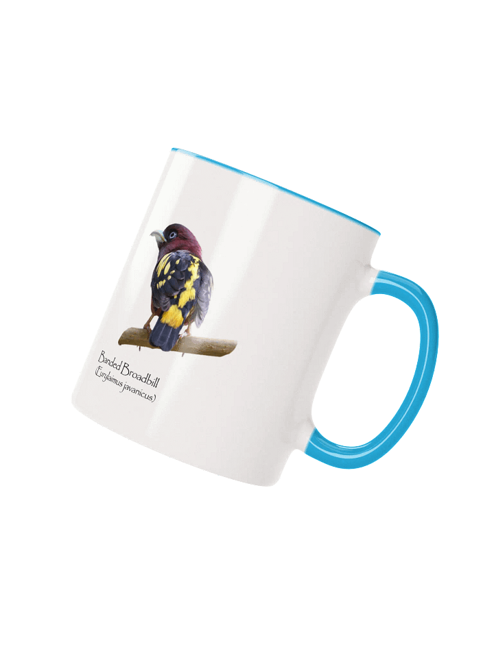 Banded Broadbill mug product image (2)