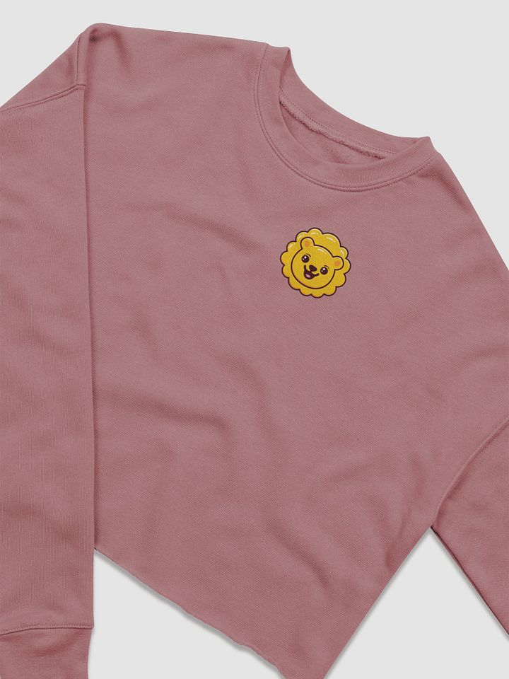 dandielyon cropped sweatshirt product image (8)