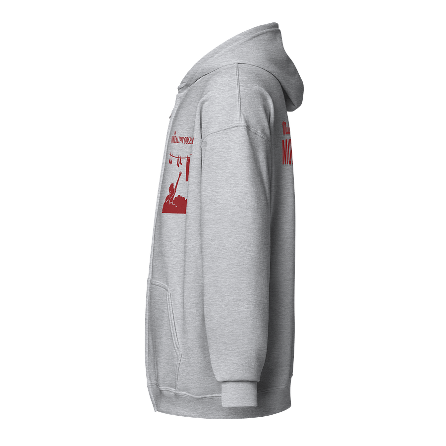 An Unhealthy Obsession Unisex Heavy Blend Zip Hoodie product image (3)