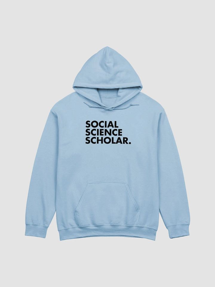 Social Science Scholar Hoodie product image (3)