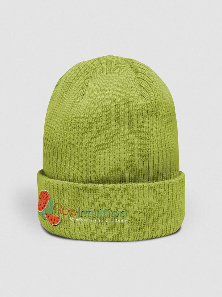 Raw Intuition Watermelon Ribbed Beanie product image (2)